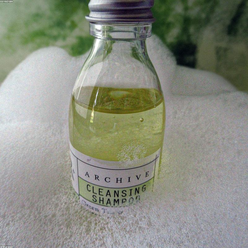 Shampoo Aloe & Reis