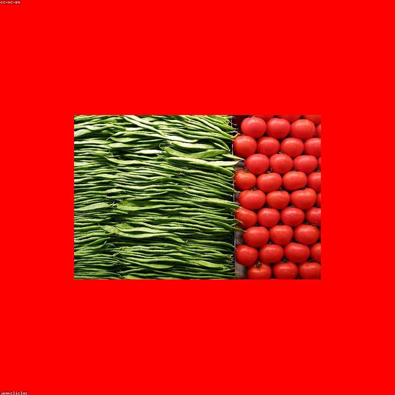 Cherry Tomaten Strauchtomaten